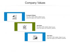 Company values ppt powerpoint presentation ideas graphics download cpb