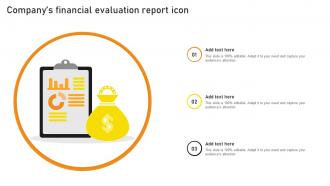 Companys Financial Evaluation Report Icon