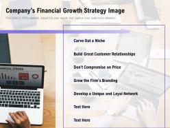 Companys financial growth strategy image