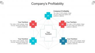 Companys profitability ppt powerpoint presentation visual aids infographics cpb