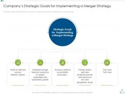 Companys strategic goals for implementing merger strategy to foster diversification