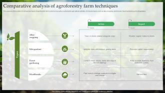 Comparative Analysis Of Agroforestry Farm Techniques