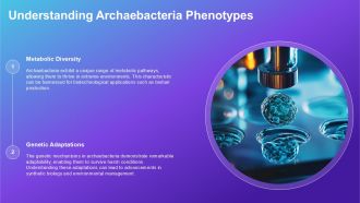 Comparison Between Archaebacteria Eubacteria And Eukaryotes PPT Example ACP Impactful Interactive