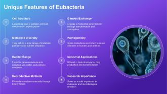 Comparison Between Archaebacteria Eubacteria And Eukaryotes PPT Example ACP Downloadable Interactive
