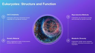 Comparison Between Archaebacteria Eubacteria And Eukaryotes PPT Example ACP Customizable Interactive