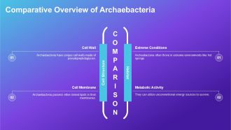 Comparison Between Archaebacteria Eubacteria And Eukaryotes PPT Example ACP Compatible Interactive
