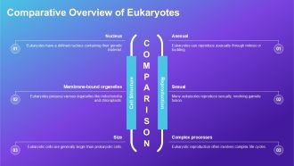 Comparison Between Archaebacteria Eubacteria And Eukaryotes PPT Example ACP Designed Interactive