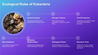 Comparison Between Archaebacteria Eubacteria And Eukaryotes PPT Example ACP Appealing Interactive