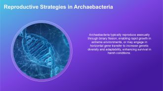 Comparison Between Archaebacteria Eubacteria And Eukaryotes PPT Example ACP Analytical Interactive