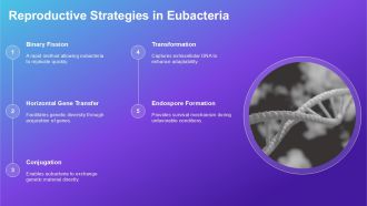 Comparison Between Archaebacteria Eubacteria And Eukaryotes PPT Example ACP Professionally Interactive
