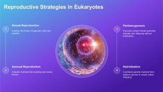 Comparison Between Archaebacteria Eubacteria And Eukaryotes PPT Example ACP Multipurpose Interactive