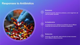 Comparison Between Archaebacteria Eubacteria And Eukaryotes PPT Example ACP Attractive Interactive