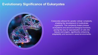 Comparison Between Archaebacteria Eubacteria And Eukaryotes PPT Example ACP Aesthatic Interactive