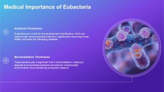 Comparison Between Archaebacteria Eubacteria And Eukaryotes PPT Example ACP Template Visual