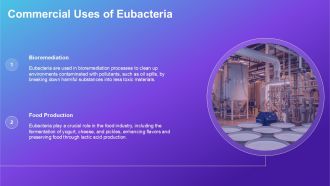 Comparison Between Archaebacteria Eubacteria And Eukaryotes PPT Example ACP Idea Visual