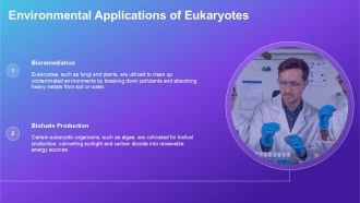 Comparison Between Archaebacteria Eubacteria And Eukaryotes PPT Example ACP Ideas Visual