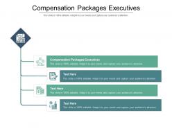 Compensation packages executives ppt powerpoint presentation ideas slides cpb
