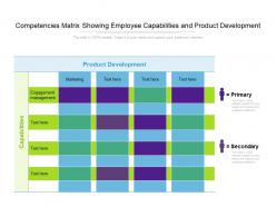Competencies matrix showing employee capabilities and product development