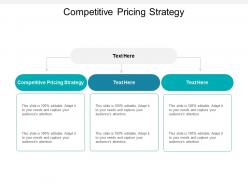Competitive pricing strategy ppt powerpoint presentation infographic cpb