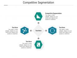 Competitive segmentation ppt powerpoint presentation infographics model cpb