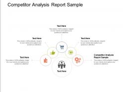 Competitor analysis report sample ppt powerpoint presentation professional portrait cpb