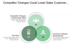 Competitor Changes Could Lower Sales Customer Software Development