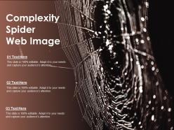 Complexity spider web image