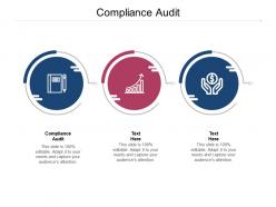 Compliance audit ppt powerpoint presentation ideas layout cpb