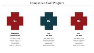 Compliance Audit Program Ppt Powerpoint Presentation Show Summary Cpb