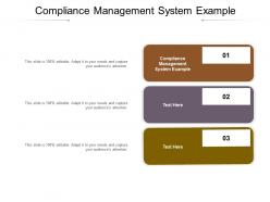 Compliance management system example ppt powerpoint presentation portfolio design ideas cpb