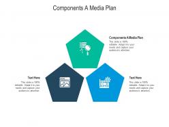 Components a media plan ppt powerpoint presentation model rules cpb