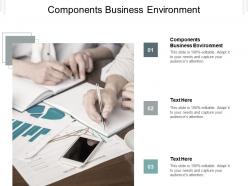 Components business environment ppt powerpoint presentation summary portfolio cpb