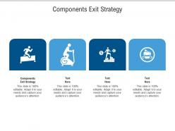 Components exit strategy ppt powerpoint presentation professional show cpb