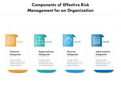 Components of effective risk management for an organization