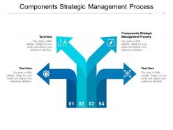 Components strategic management process ppt powerpoint presentation inspiration infographic cpb