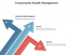 Components wealth management ppt powerpoint presentation portfolio cpb