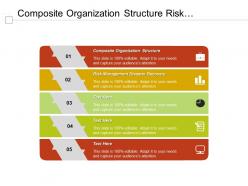Composite organization structure risk management disaster recovery professional proposal cpb
