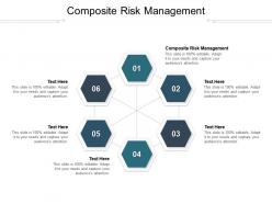 Composite risk management ppt powerpoint presentation layouts sample cpb