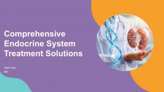 Comprehensive Endocrine System Treatment Solutions PPT Presentation ST AI