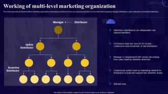 Comprehensive Guide For Network Working Of Multi Level Marketing Organization