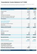 Comprehensive income statement for fy 2020 presentation report infographic ppt pdf document