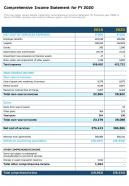 Comprehensive income statement for fy 2020 presentation report infographic ppt pdf document