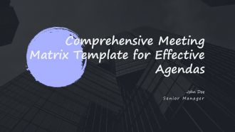 Comprehensive Meeting Matrix Template For Effective Agendas PPT H