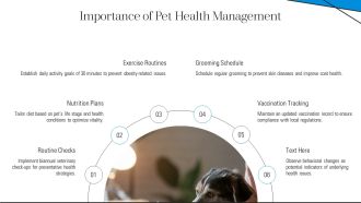 Comprehensive Pet Care Nutrition Grooming Exercise Veterinary Visits PPT Example AT Impactful Engaging