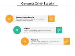 Computer crime security ppt powerpoint presentation show background designs cpb