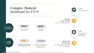 Conagra Financial Dashboard For Fy19 Convenience Food Industry Report Ppt Icons
