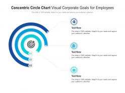 Concentric circle chart visual corporate goals for employees infographic template