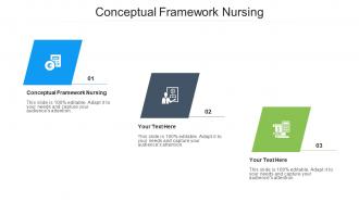Conceptual Framework Nursing Ppt Powerpoint Presentation Ideas Visuals Cpb