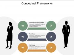 Conceptual frameworks ppt powerpoint presentation portfolio layout cpb