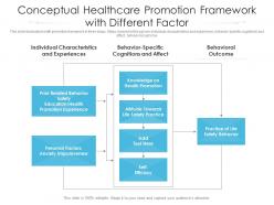 Conceptual Healthcare Promotion Framework With Different Factor
